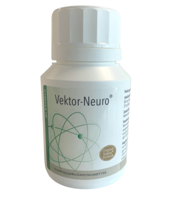 Vektor-Neuro