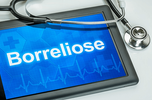 borreliose