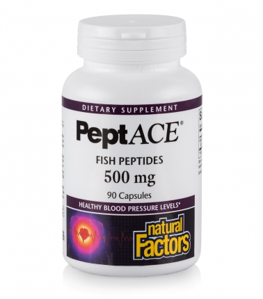 Anti-ACE Peptides